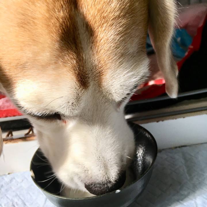 181a44ae c6a9 4cb1 ac72 289feee9e803 1736725199629