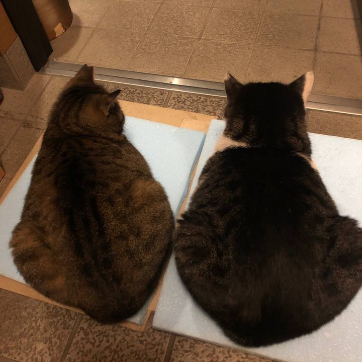 181a62ed f1df 4fa8 983f 85a99e7bda47 1607589624853