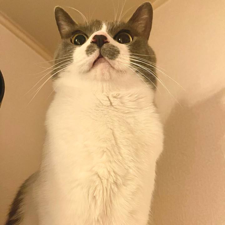 181af1b5 291d 433f bde6 96223b5fb74a 1645013259645