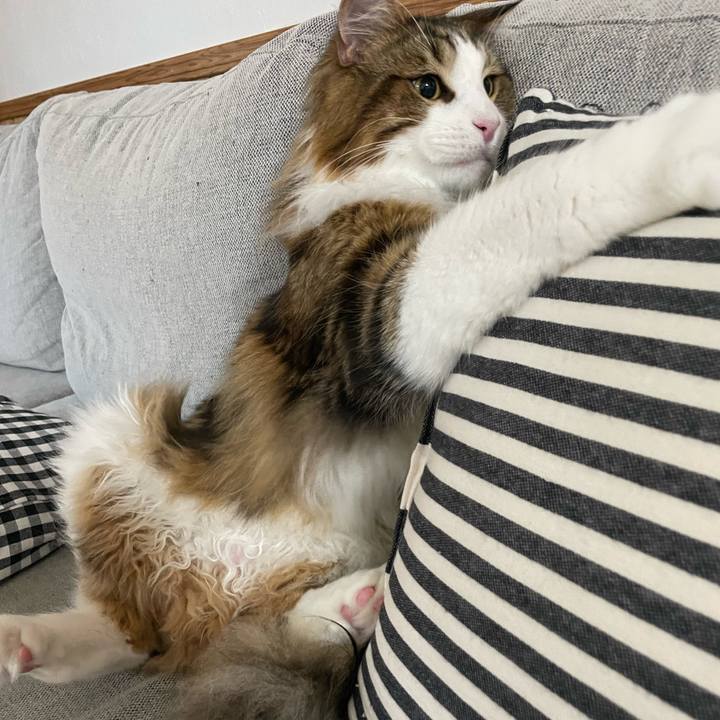 181b2e88 b88e 4574 b8c3 2016e56963b1 1657396525719