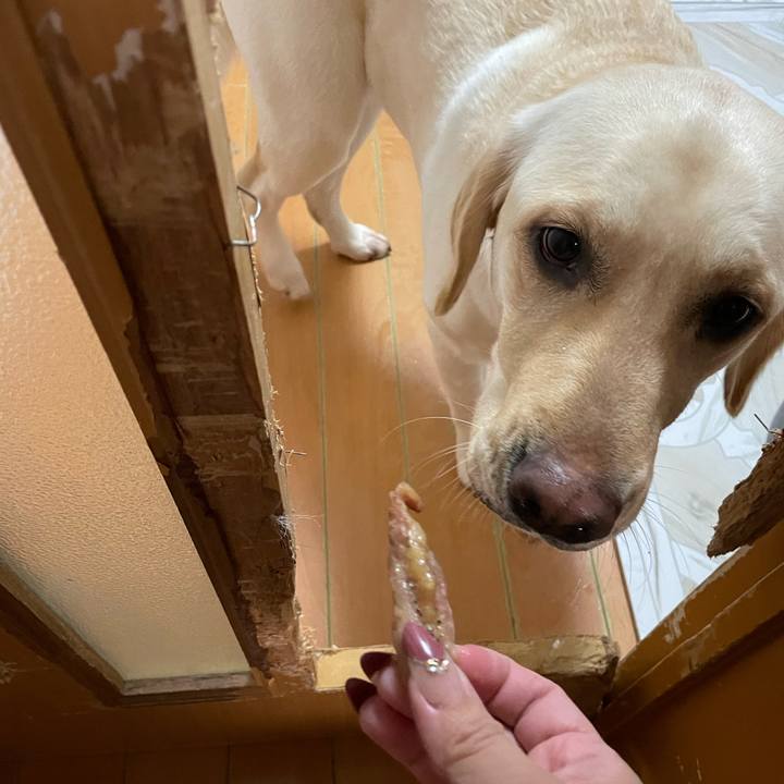 181b3630 97f7 443a ad82 2355adcab3d0 1676157468221