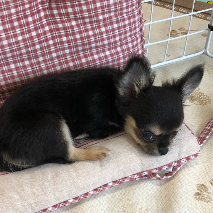 181b44a6 e1ca 45db bc0b 61dd17b97f28 1535581571623