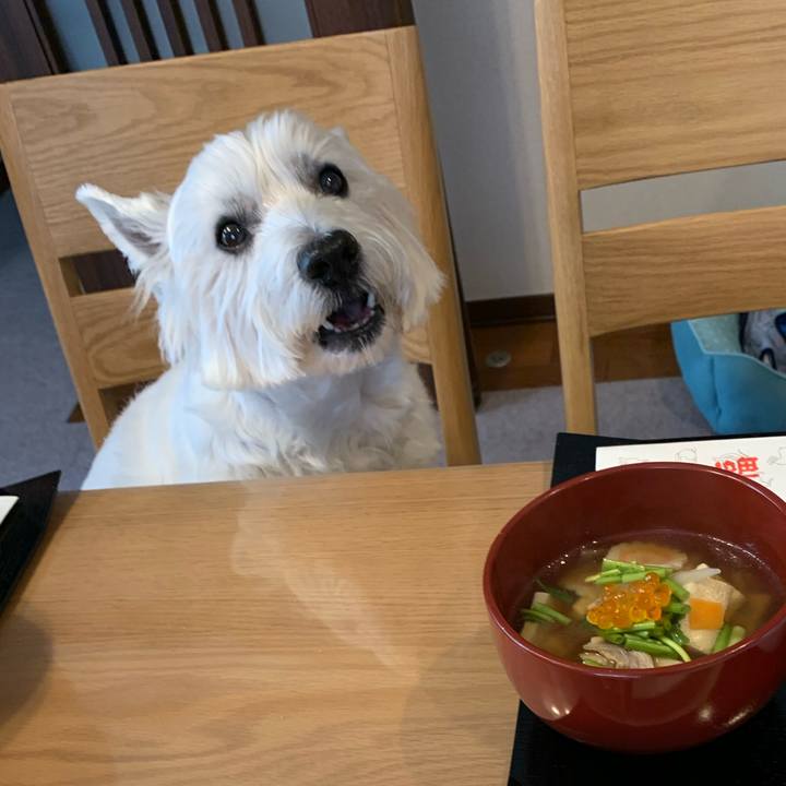 181b523d 5a56 46d9 b154 4dcc1076858b 1577939103443