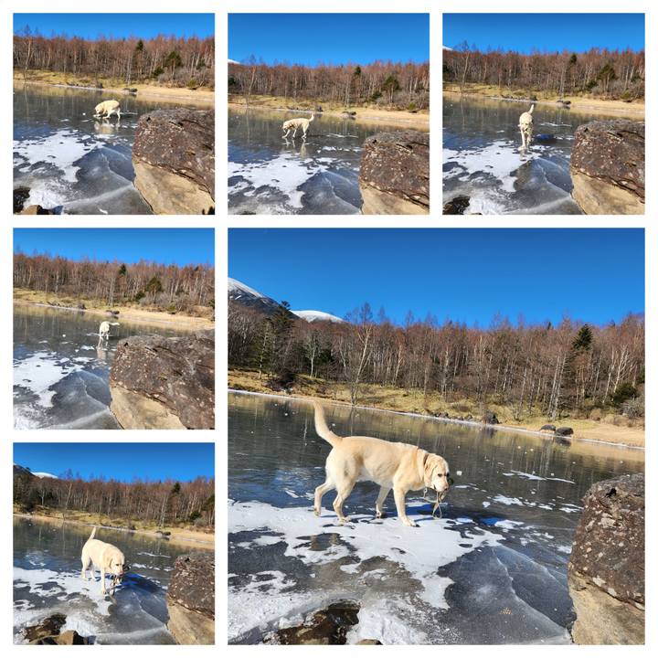 181b55dd 3a71 4f32 b039 5e6c6f4fad5b 1703474127130