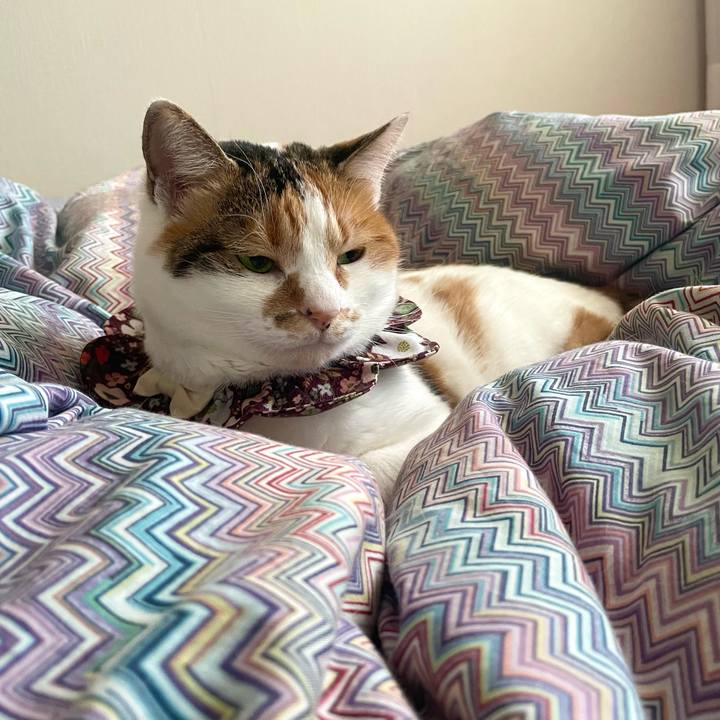 181b562b 1eb6 43c0 a41b d059c8ed3239 1740094532463