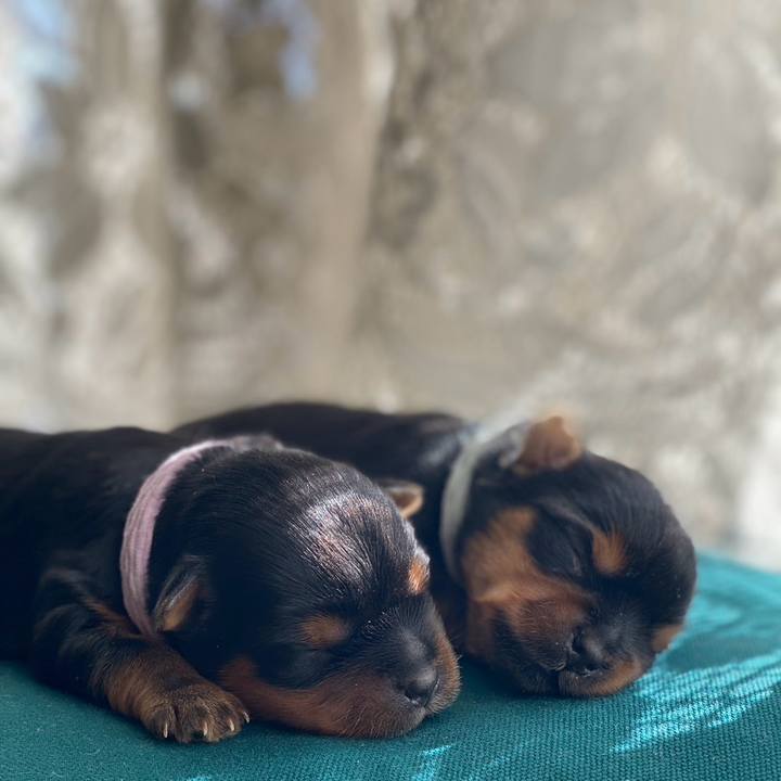 181bbe49 544c 48cb 8cd0 82137b4b90f0 1706701458157