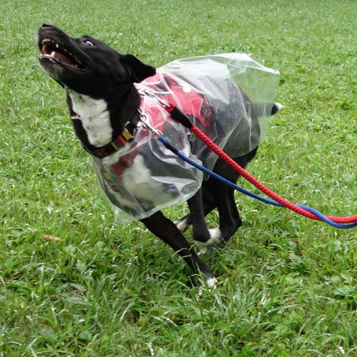 181bf5f4 0270 45c0 a9a1 7d4d91926867 1601077328612