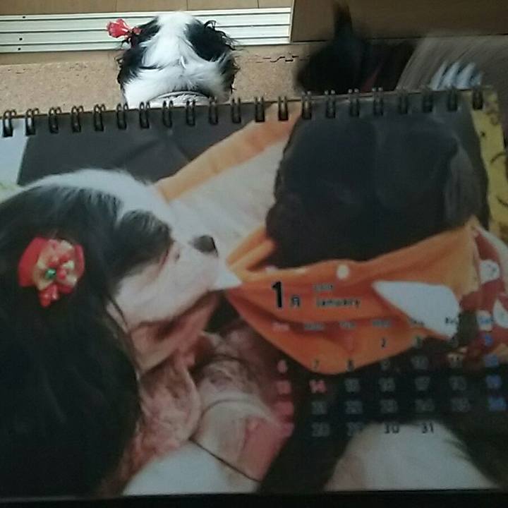 181c0aa2 fd49 49c7 ba6d 22e7a1bfd956 1546319356753