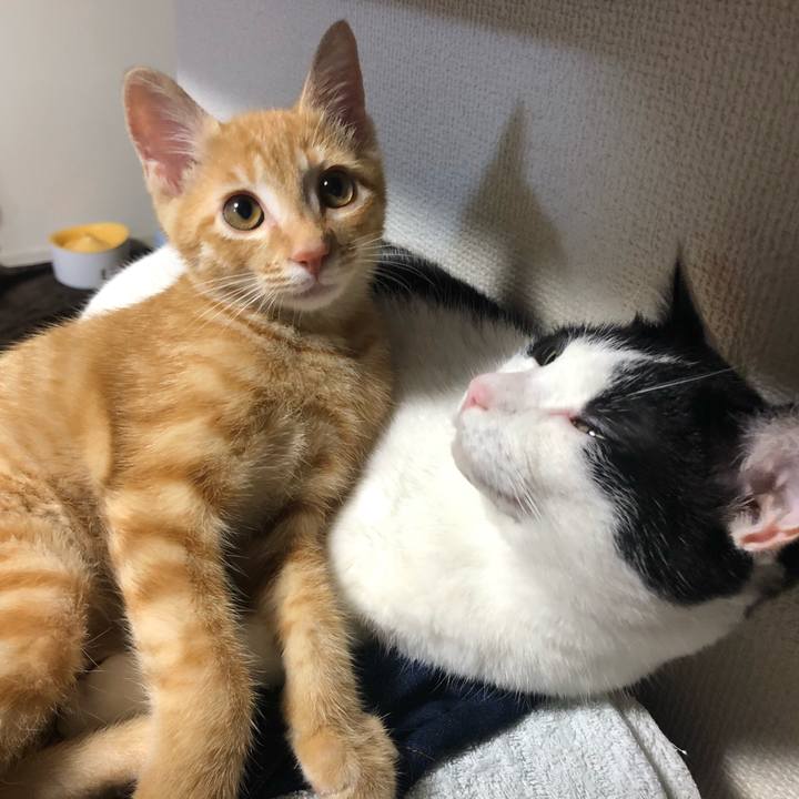 181c5aa0 78f0 45be bfa0 63dcab95f0c5 1566098175407