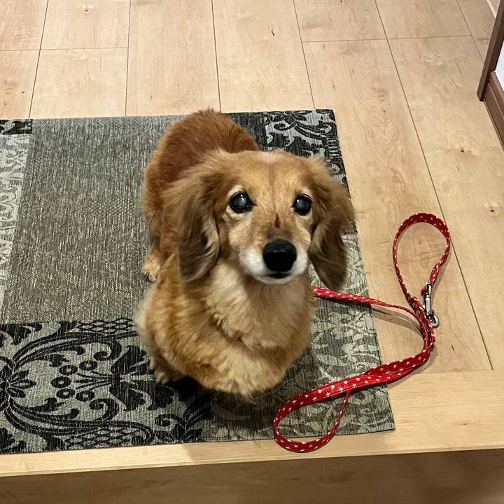 181c6cf2 a0e4 4daa b6fb a5f8bf95c4ba 1652012371118