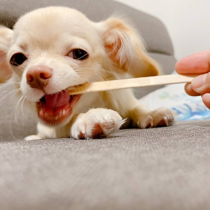 181c89ec a0f7 4312 b0e7 6f9f0a642dea 1597551907296