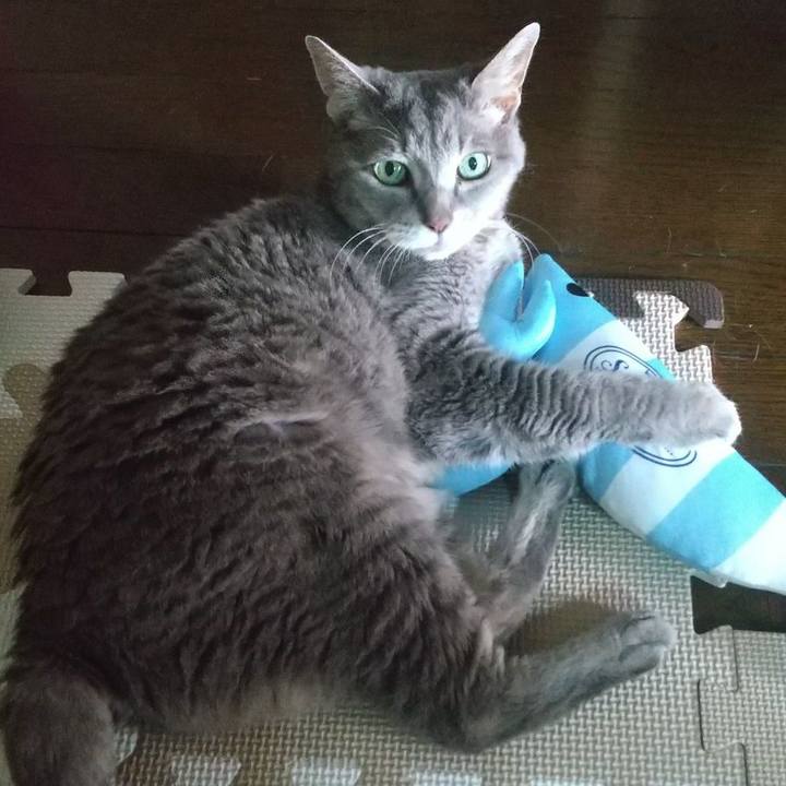 181cec56 7f69 4e1c a7d0 00b7830f259d 1689727808833