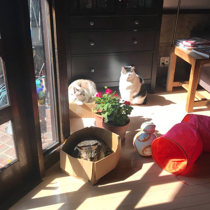 181d50c0 1e1b 4831 8bdb 9de5a69ebb61 1519014017852