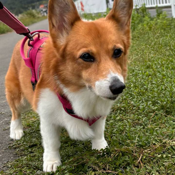 181d69e6 1b5e 4040 b968 bbd3a83d6faa 1730169809386