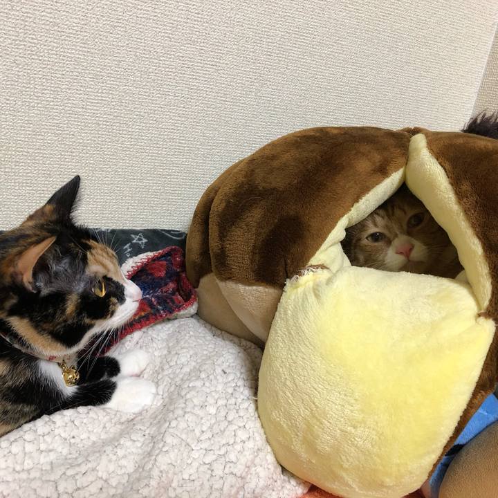 181d6f65 926a 46a9 9550 2a784fb42f5b 1573820806179