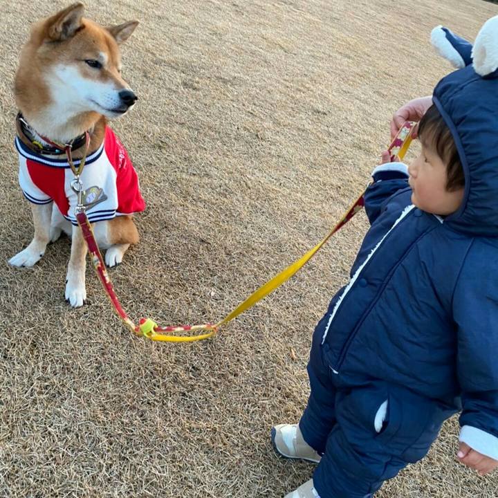 181dab22 0312 4b0b b457 650381e718b1 1577279466375