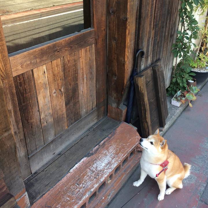 181dc684 ee8d 4363 90e3 064565f8a2c9 1562219353423