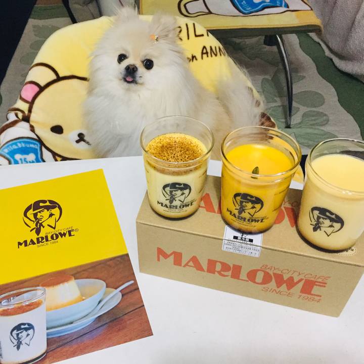 181de7a9 5f2f 4c0a 977b d04741b49a57 1555494004976