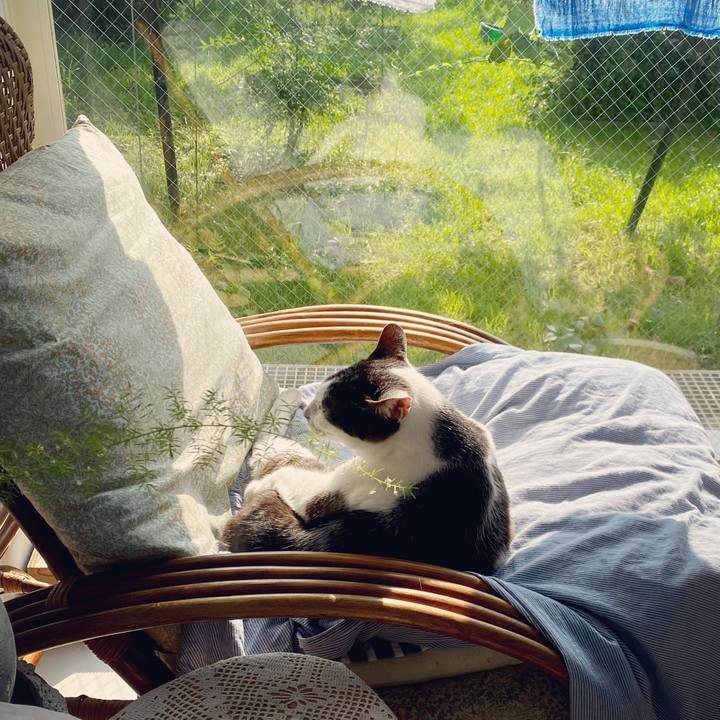 181e0eec a5df 47bf 8d2f 8063ef45d524 1596757307432