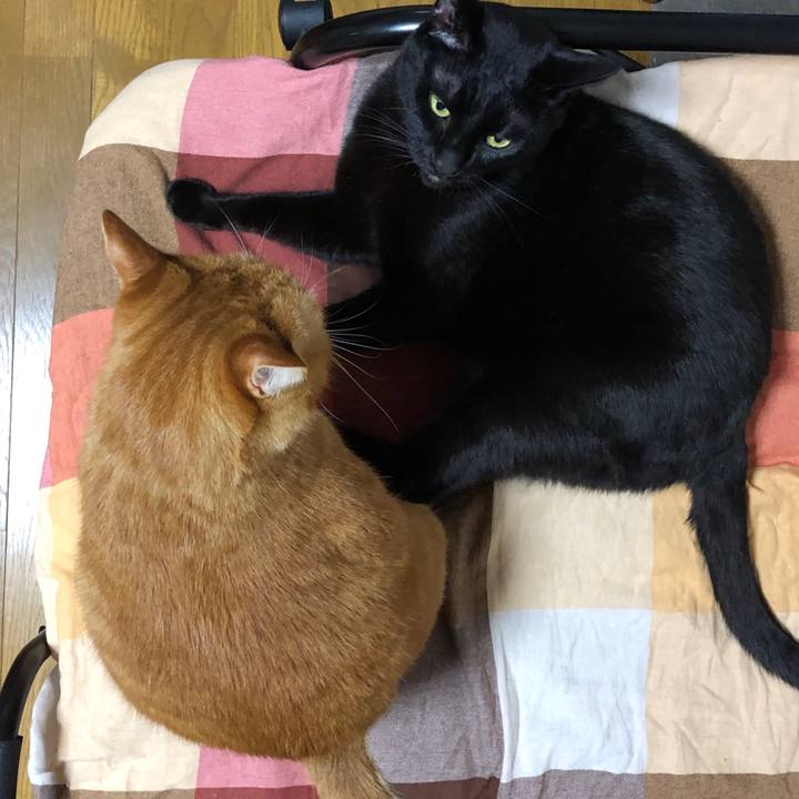 181e1259 aad5 44b9 9b0a 72d6083456a7 1707922052098