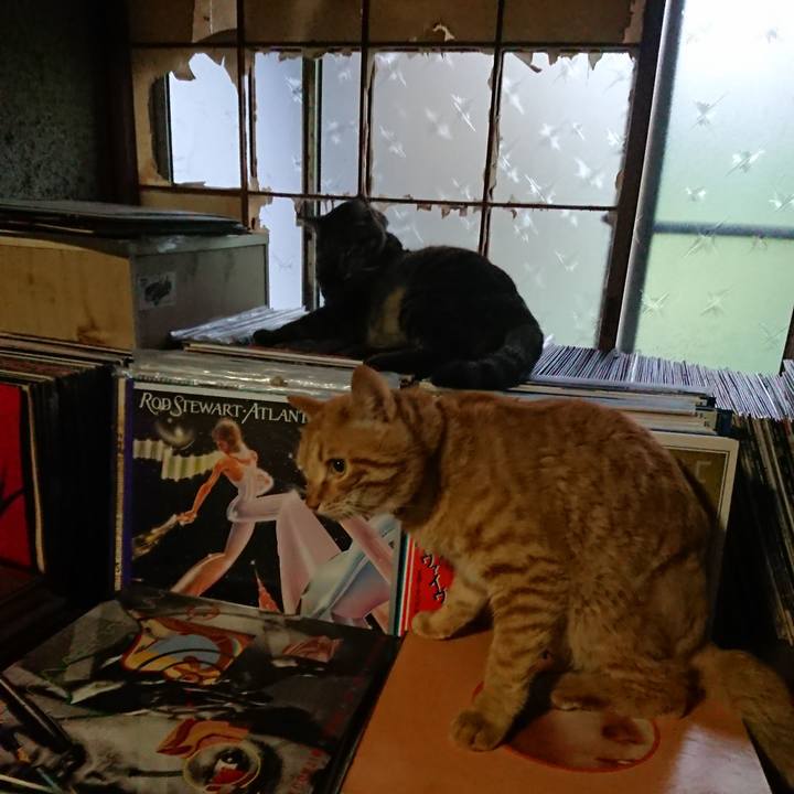 181e3c04 0d4b 4307 a0f5 f5a363564b72 1656319736253