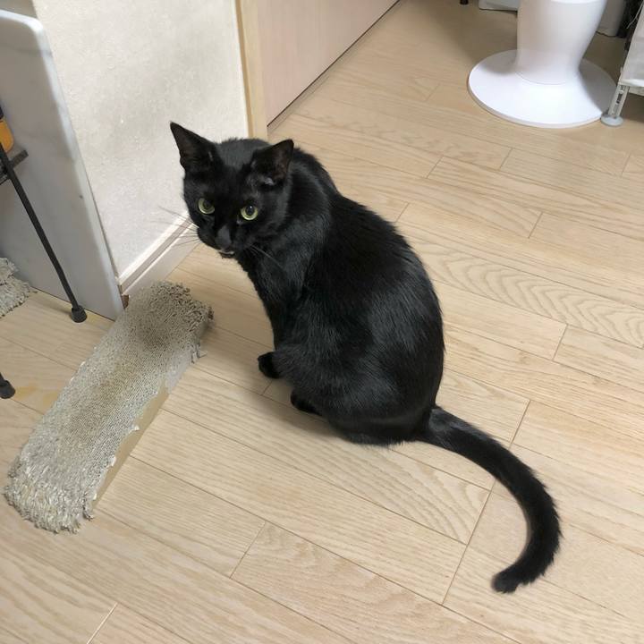 181e4679 ab69 4740 b191 4e31796235d4 1630417102798