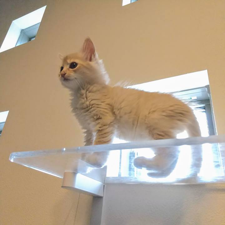 181e54dc f019 4352 a964 ed6772a94f8f 1758858008154