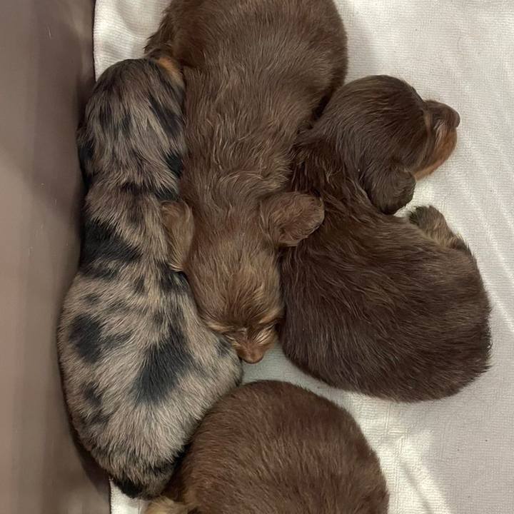 181e7451 e84b 4fed 88ad 824b181b0adb 1694608769862