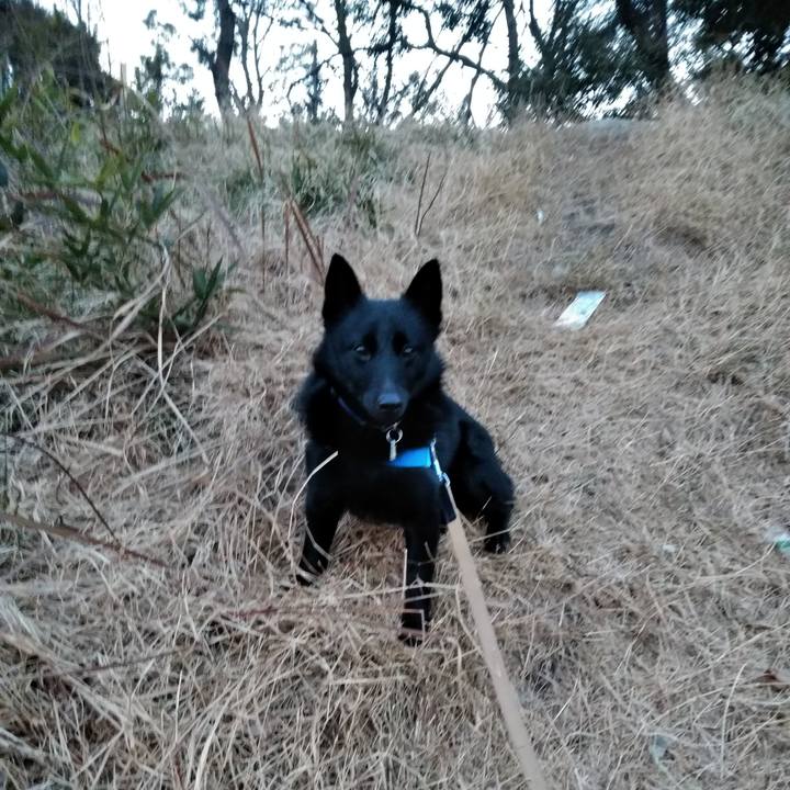 181ec96f cb76 4fb8 a015 72ff20f4b2f8 1552035966378