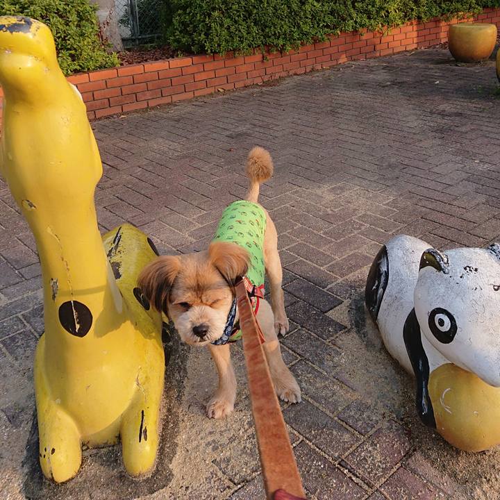 181f27ab be74 4ec7 9bb9 1e431345cdc5 1553036583023