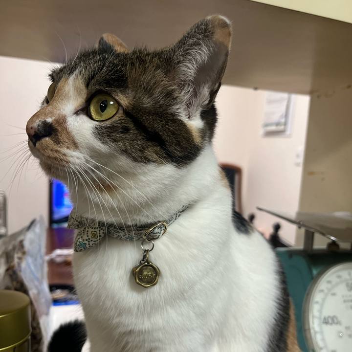 181f5269 9415 433a bbe8 4d316fa80849 1765191616230