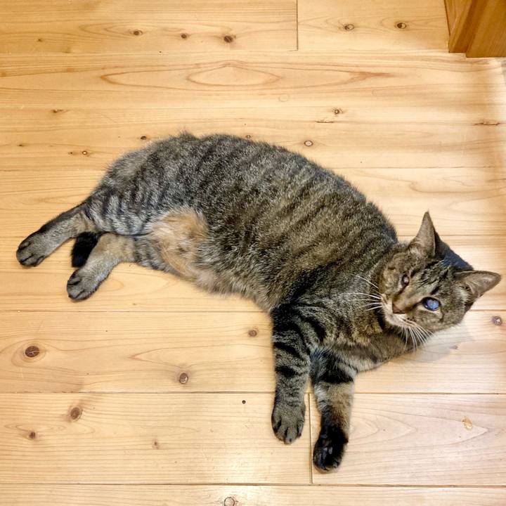 181f7646 21b3 489c a52f 6bff7b459828 1637740469499