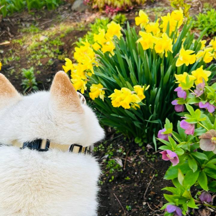 181f791f 80a2 4ec0 b9e3 2f5ecd061002 1683411101189