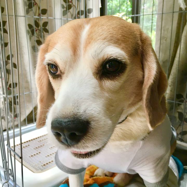 181fa52c ff9f 4613 8bdf 0e981f768197 1751002808925