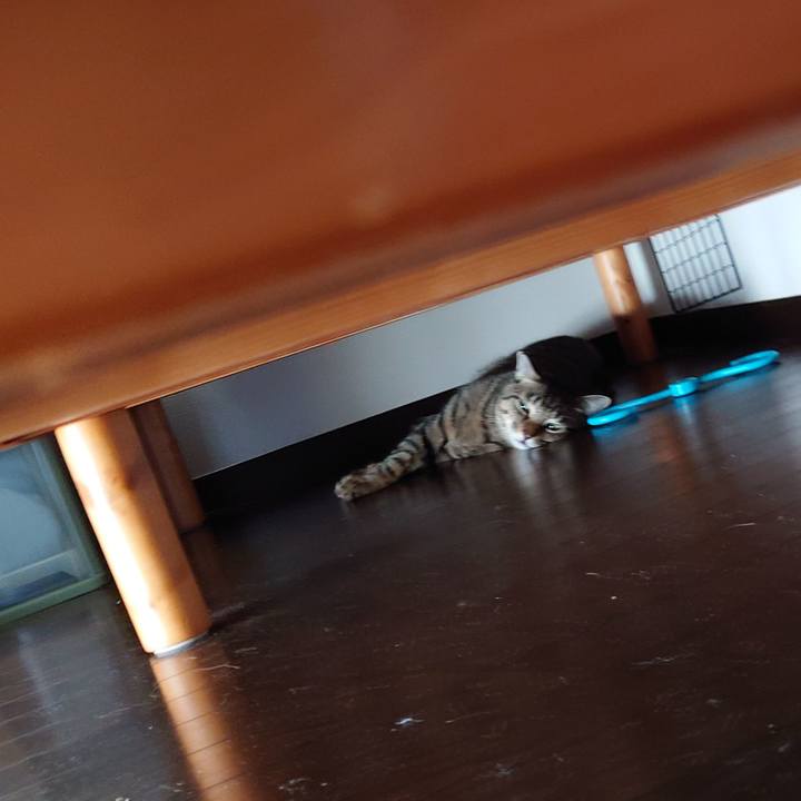 181fa7b3 b2fe 4d3d 959c b86876090351 1756816588020