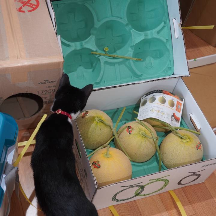 181fb154 a7ae 47c7 89f0 e18136a043c4 1595335880382