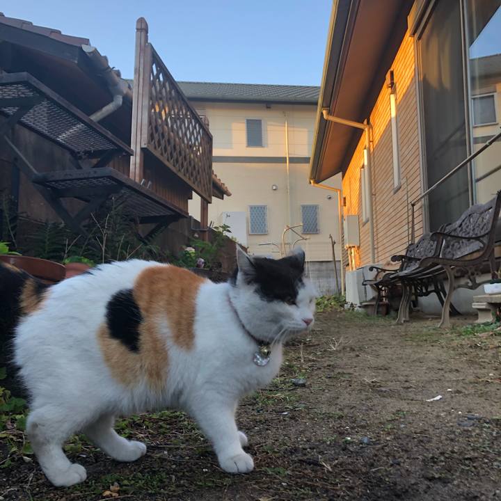 181fe021 16f7 4caa 88f7 f945518b13bf 1612612001327