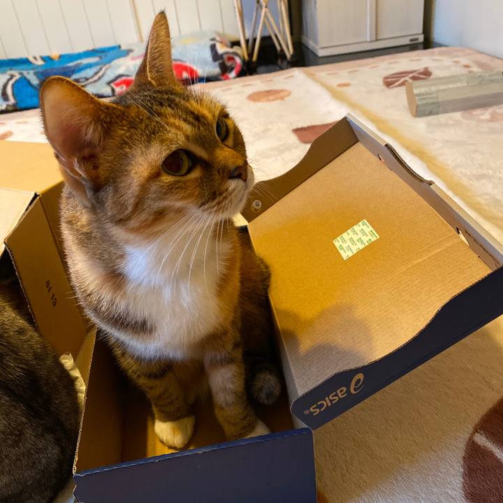 181fe952 d23f 45d0 821a 5d5c26040135 1577343671299