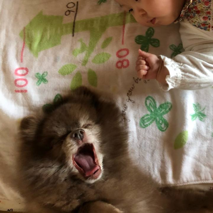 18200bde fad6 4ffd a658 7e00ebcfbe51 1562287822981