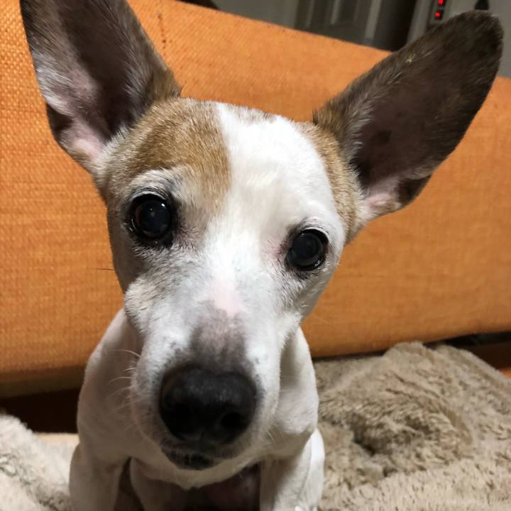 18202582 870b 4867 94b2 65188579a174 1546683990659