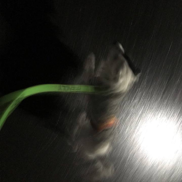 18208dee 73b3 4a4c 8d36 cf1dc43efe3b 1542116844543