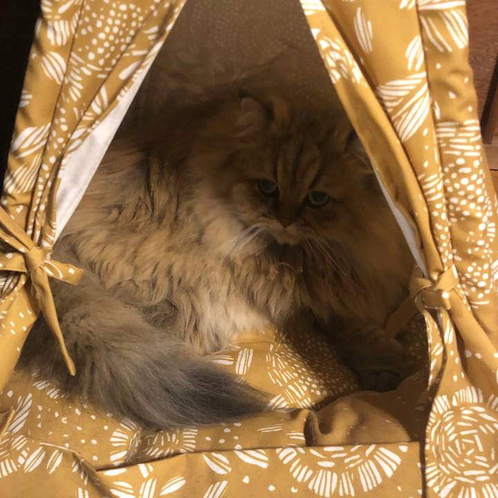 182099a1 6421 479d 8194 fcc9ee3bfee0 1575516685877