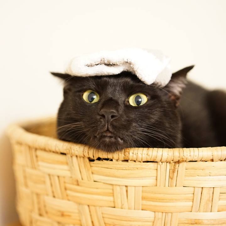 1820aa9c 77ee 4cef b70f f359addb98b3 1550804424350