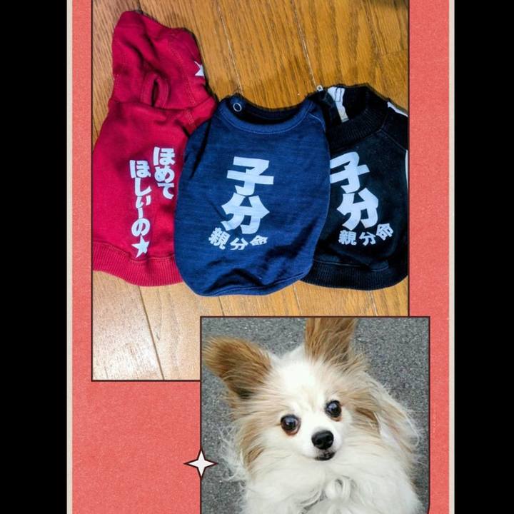 1820de70 b457 4778 9fc5 b05e634bcbe0 1771323579006