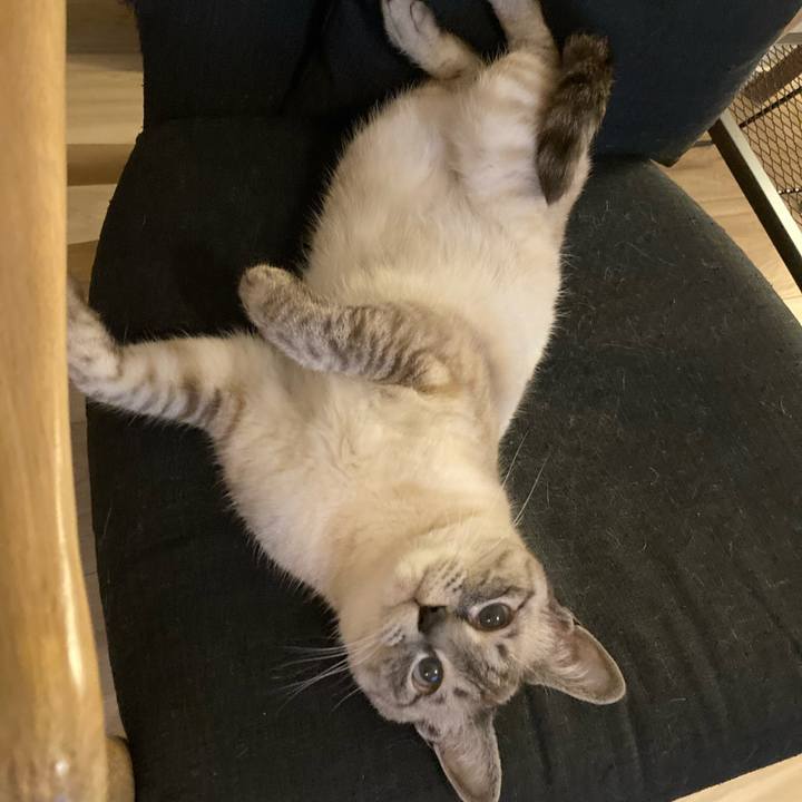 1820e15b fcaa 4f8c 912e d9616df68a32 1622532738136