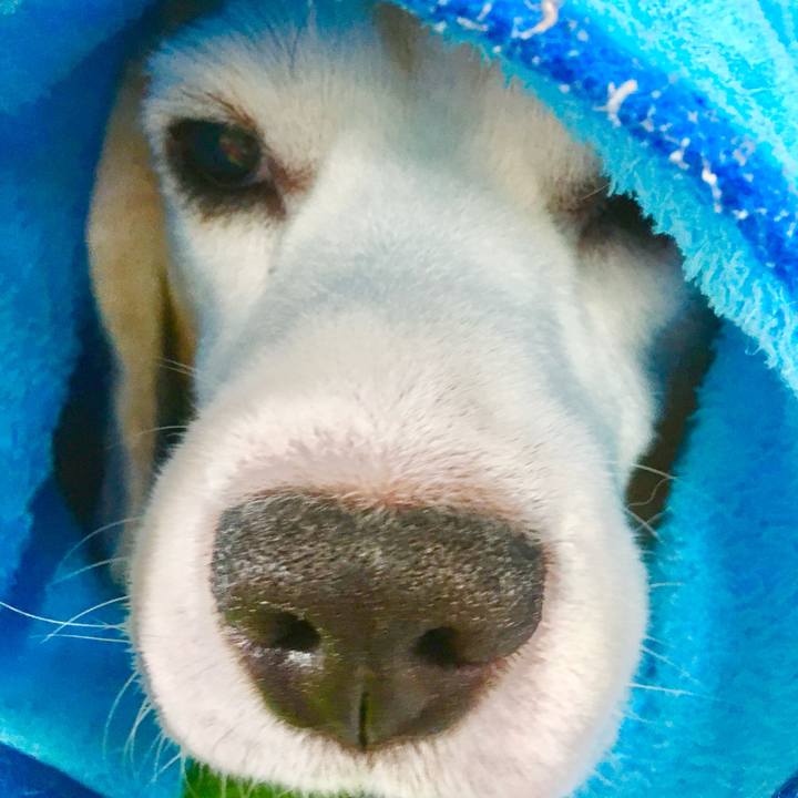 1820ee26 f23a 44a0 9622 50a874985877 1762174664007