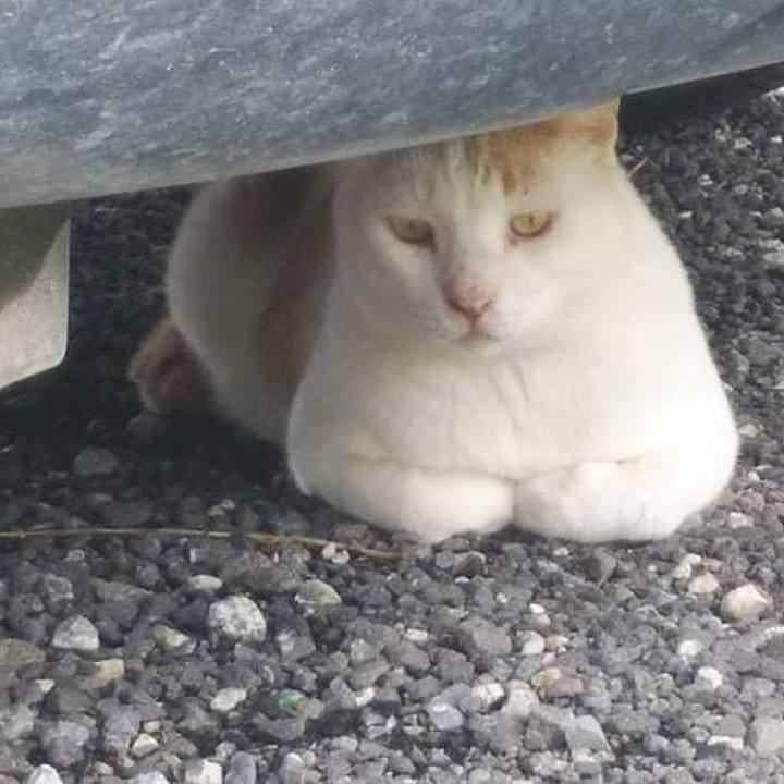 18213e6d 4386 4251 b125 14460050dc90 1626137078647