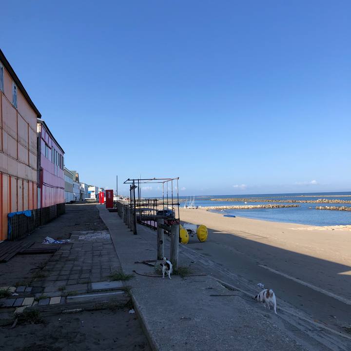 18215645 9fd2 4a5f bd80 c23042060c46 1537660236191