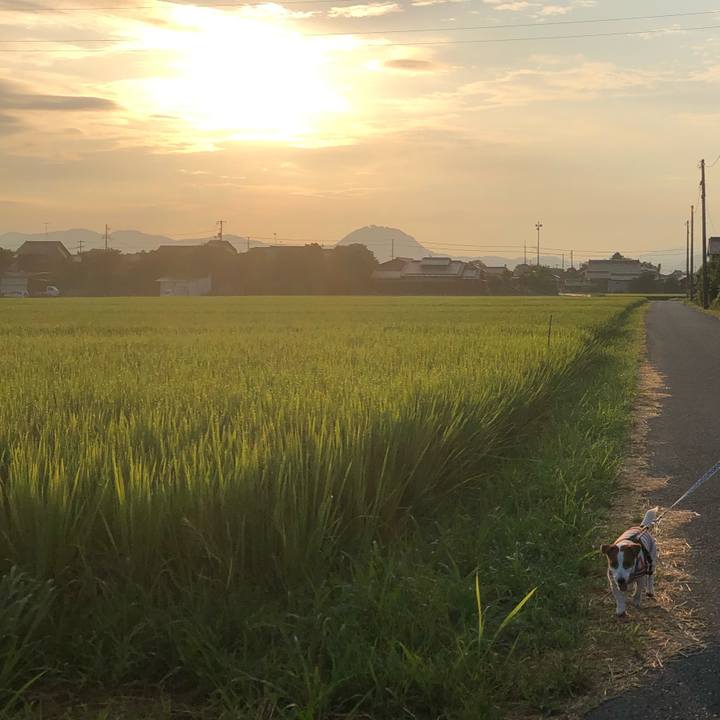 1821715e 8d84 42f9 8946 3d7100abbdf1 1660033837851