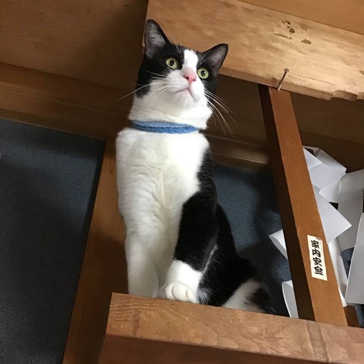 18219f56 2e99 4847 a194 79b6f28ae98b 1680180115358